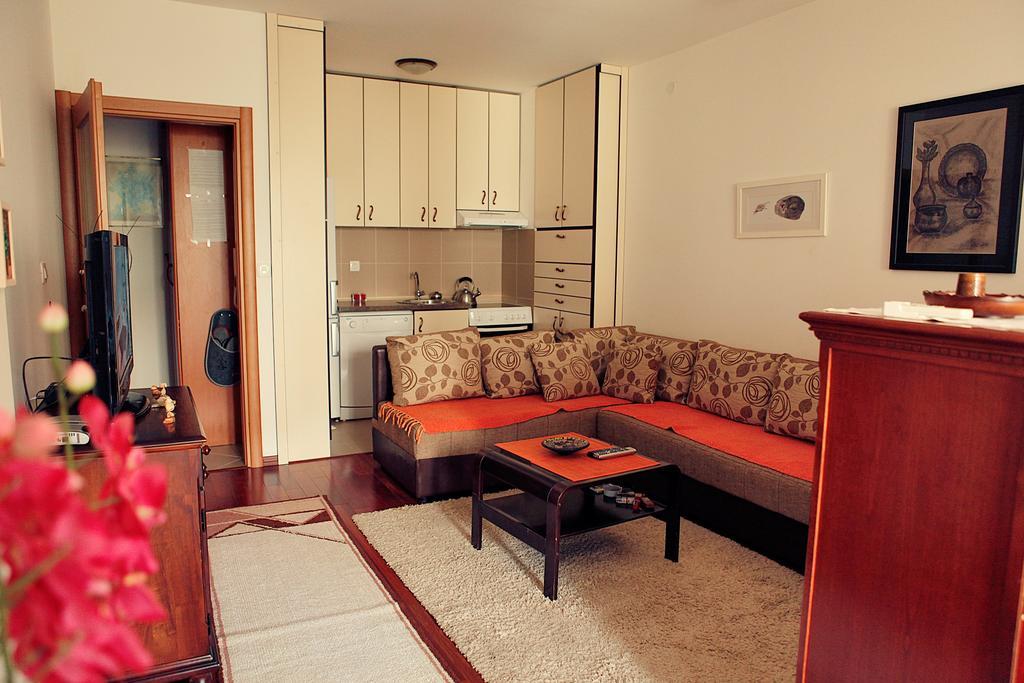 Studio Apartment Nika Andusa Petrovac Cameră foto